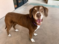 Rusty - Photo 1