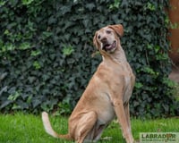 Kuia <3 - Photo 4
