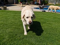 Baby & Sugar - Photo 2