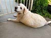 Baby & Sugar - Photo 3