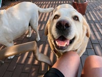 Baby & Sugar - Photo 4