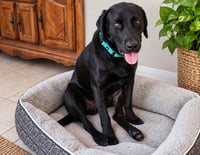 Roscoe - Photo 3