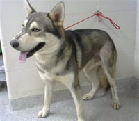 MAX - Photo 1