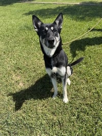 NOVA - Photo 1