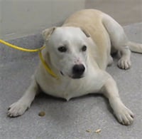COLBY - Photo 1