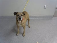 PENNY - Photo 1