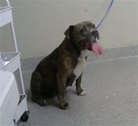 NYLA - Photo 1