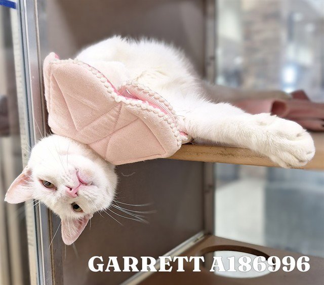 GARRETT Image