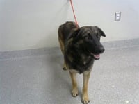 TOODY - Photo 1
