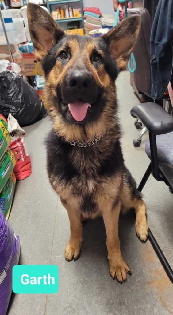 Garth-Sponsored - Photo 3