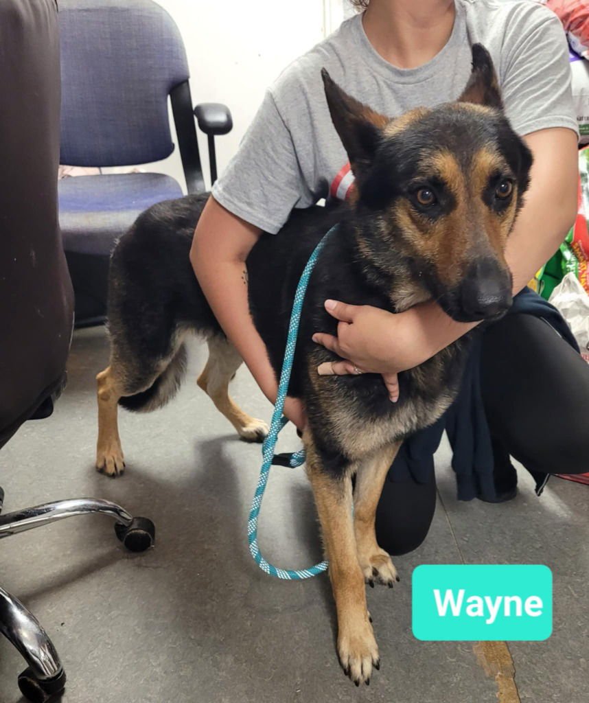 Wayne-Sponsored - Photo 3