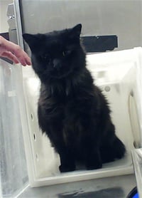 AGNES - Photo 1