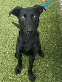 MAX - Photo 1
