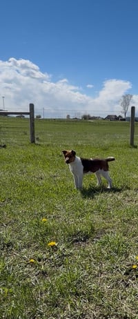 Sami - Photo 2