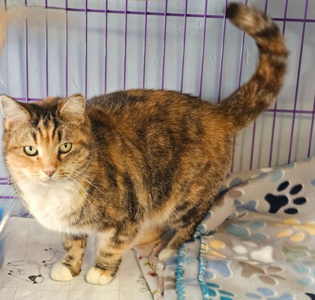 Goldilocks - Photo 3