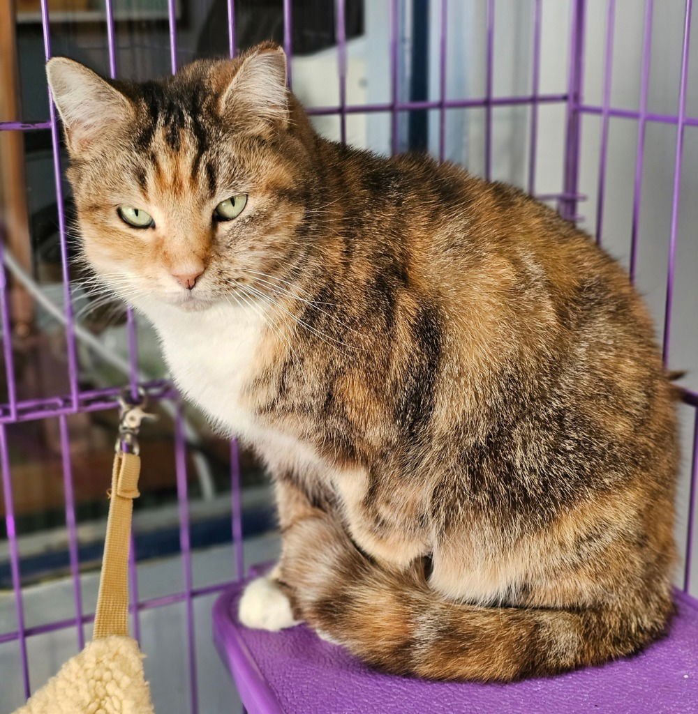 Goldilocks - Photo 4