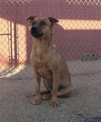 Hazel - Photo 12