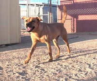 Hazel - Photo 20