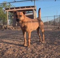 Hazel - Photo 7