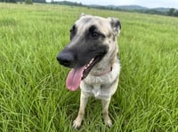 Sandy - Photo 2