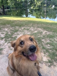 Charlie - Photo 3