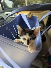 Moo - Photo 14