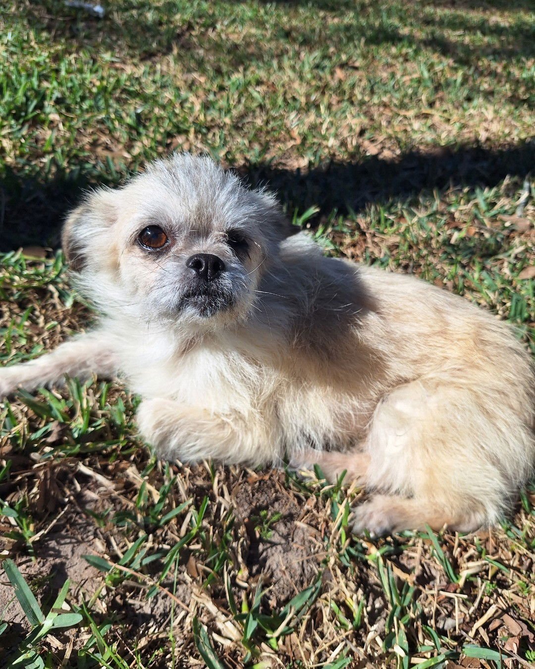 Lady Jellybean - Photo 3