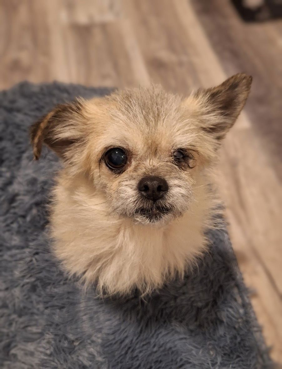 Lady Jellybean - Photo 4