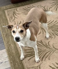 Zena - Photo 1
