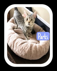 Parks - Photo 4