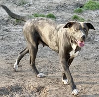 Pam - Photo 5