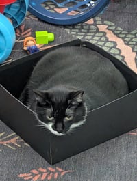 FatManBatCat - Photo 6