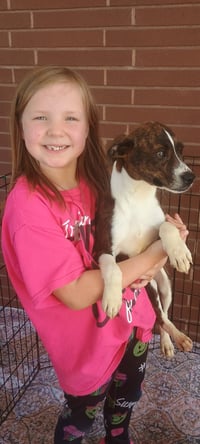 Gummy bear - Photo 3