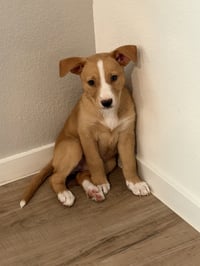 Emma - Photo 7
