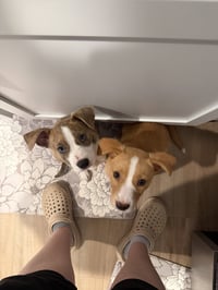 Emma - Photo 8