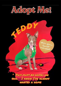 Teddy - Photo 11