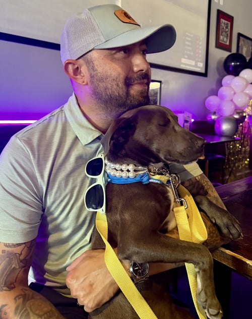 COCO - Pit Bull Terrier available for adoption