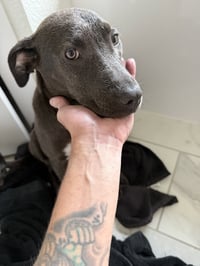 Coco - Photo 2