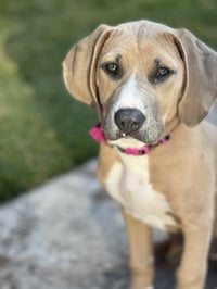 Stormy - Photo 7