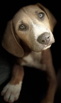 Stormy - Photo 8