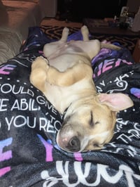 Tank - Photo 7