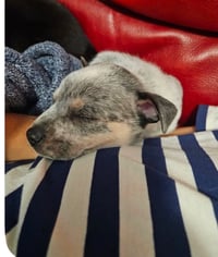 Peggy - Photo 2