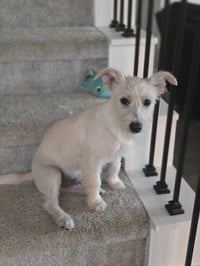 Butter - Photo 4
