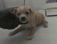 Heidi - Photo 3