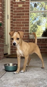 Heidi - Photo 1
