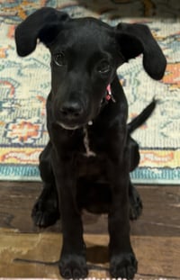 Claire Bear - Photo 3