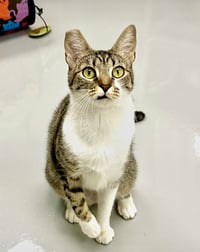 Gigi - Photo 1