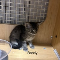 Randy   (th) - Photo 1