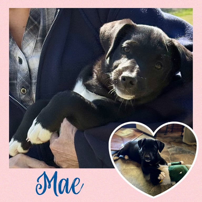 Mae  (rt) Image