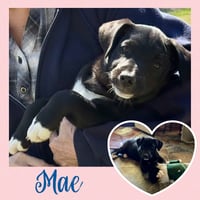 Mae  (rt) - Photo 1
